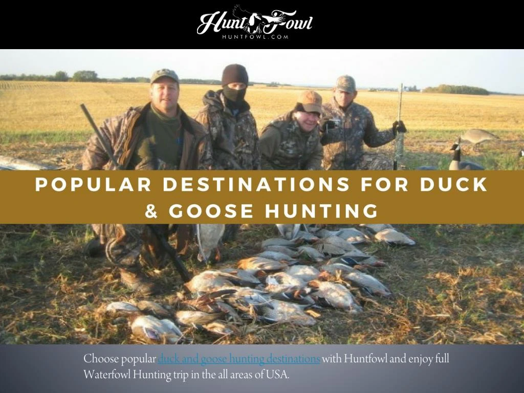 choose popular duck and goose hunting