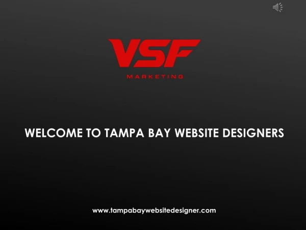 Tampa Based Web Designer - Tampa Bay Website Designer