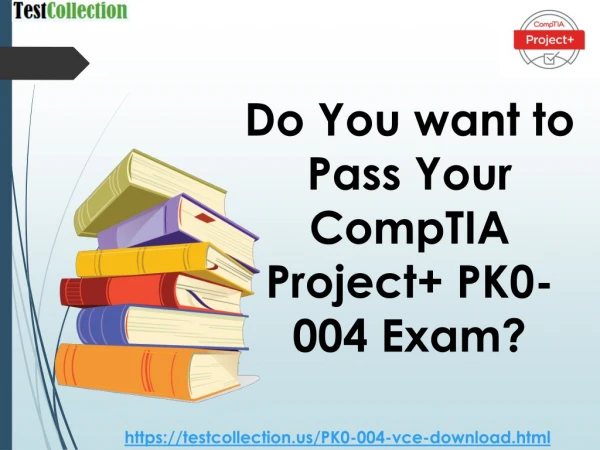 CompTIA Project PK0-004 Practice Test Questions