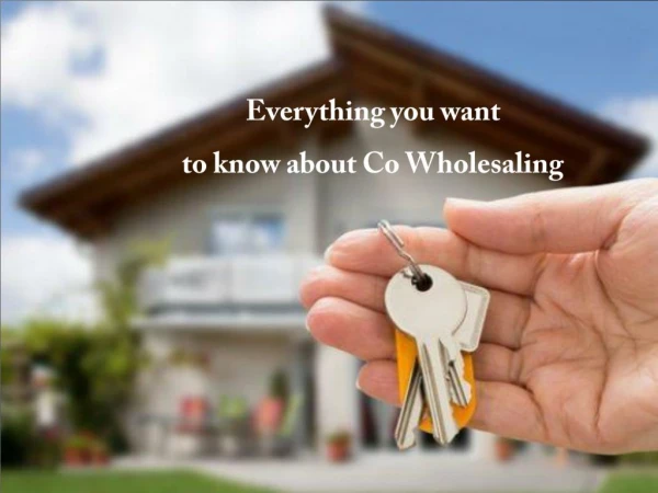 Zack Childress Reviews: Everything you want to know about Co Wholesaling