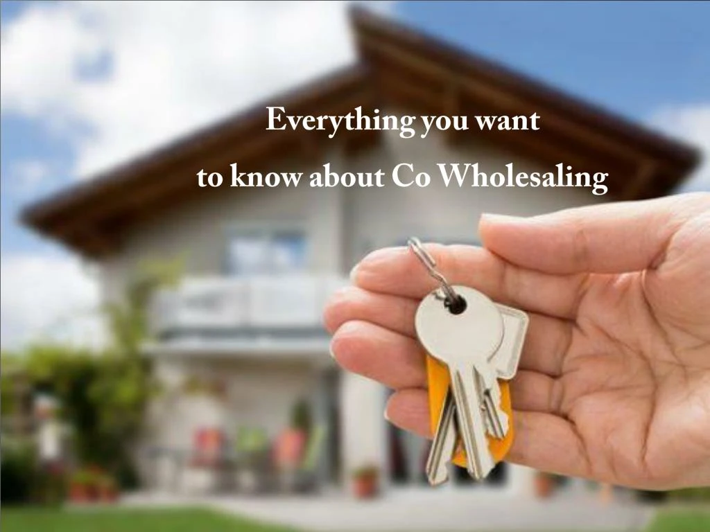everything you want to know about co wholesaling