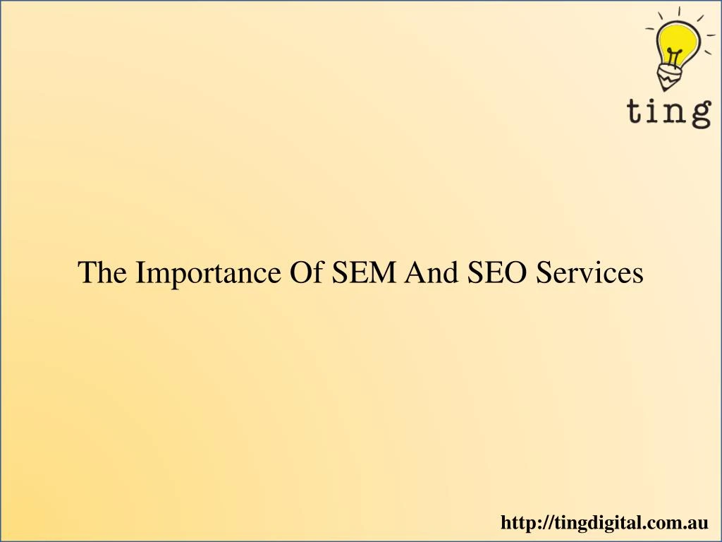 the importance of sem and seo services