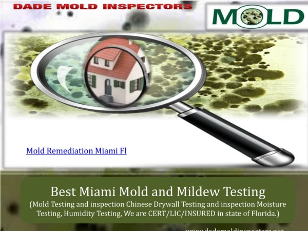 Best Miami Mold and Mildew Testing