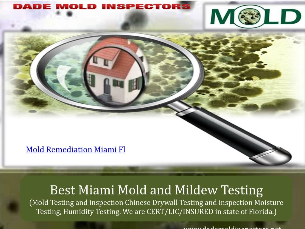 mold remediation miami fl
