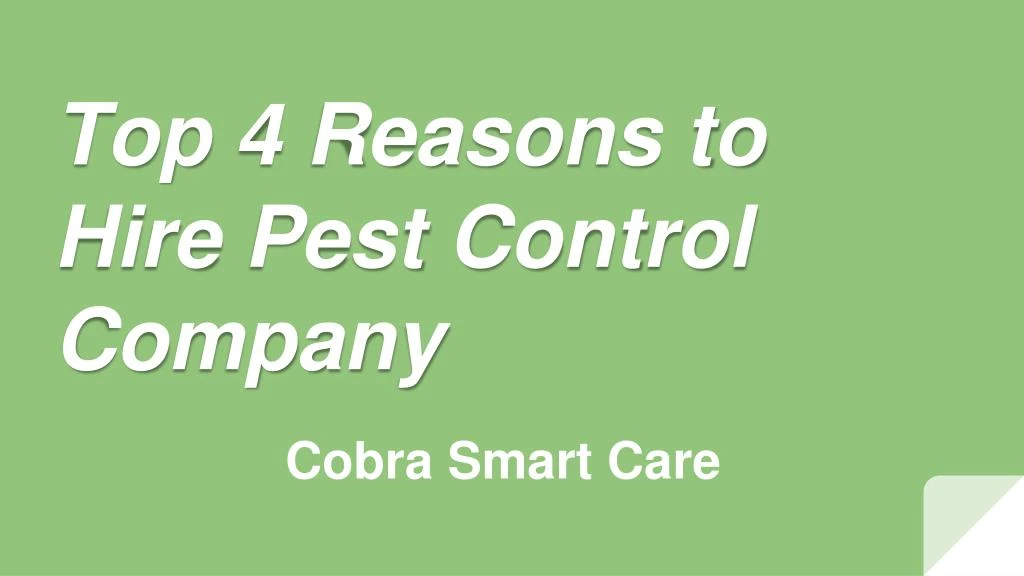 top 4 reasons to hire pest control company