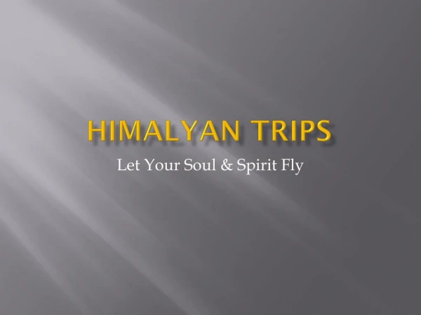 Himalyan Trips: Himachal Tour Packages from your Doorstep Anytime