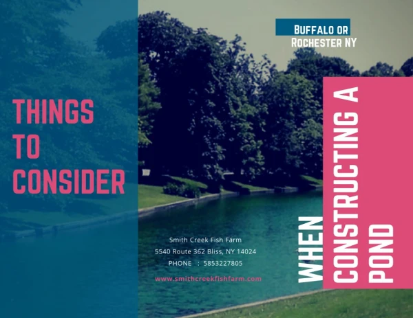 Things to Consider When Constructing a Pond