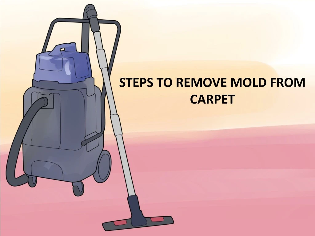 steps to remove mold from carpet