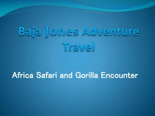 Africa Safari and Gorilla Encounter Experience