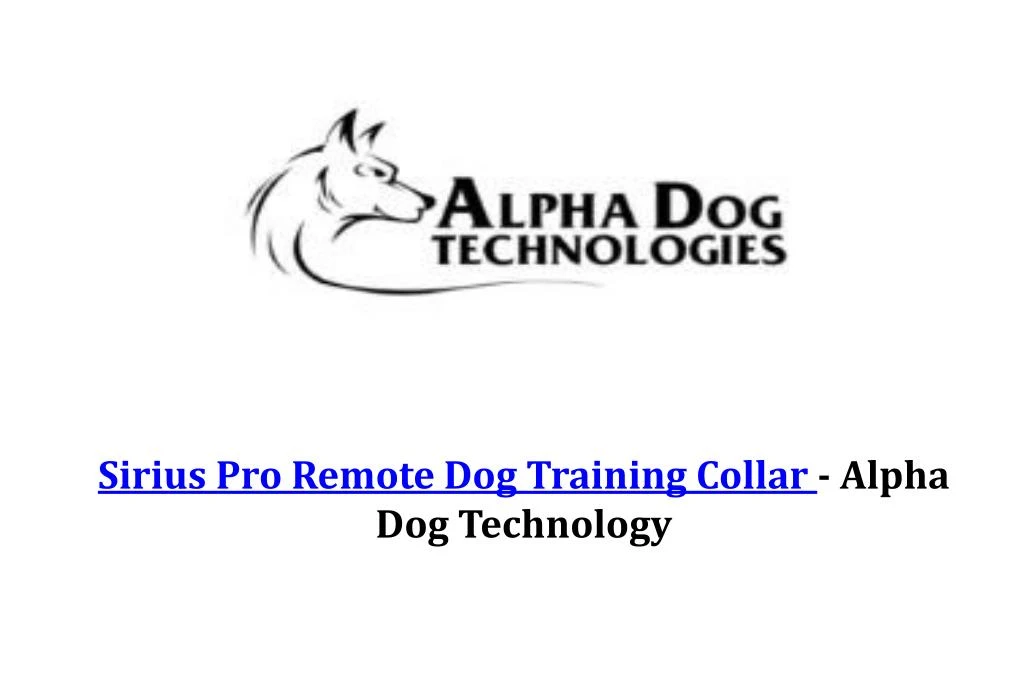 sirius pro remote dog training collar alpha