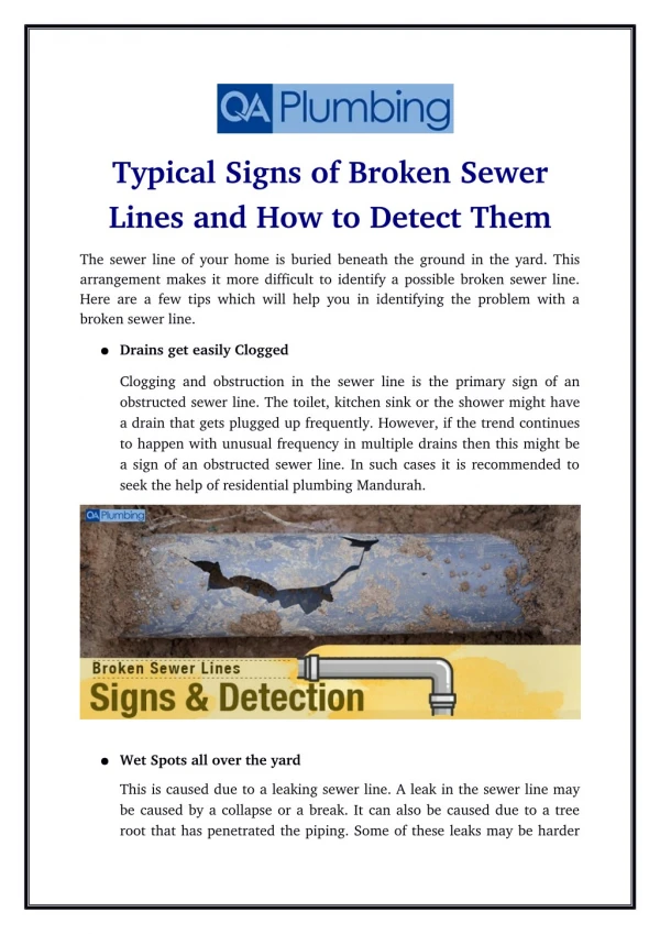 Typical Signs of Broken Sewer Lines and How to Detect Them