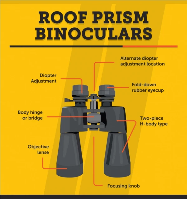 Roof prism binoculars