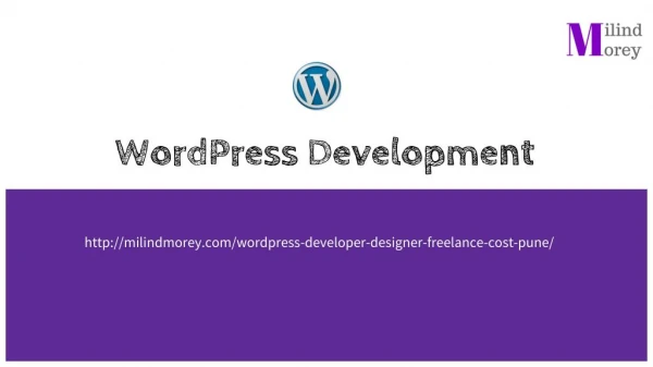 Quick WordPress Intro and Development Guide