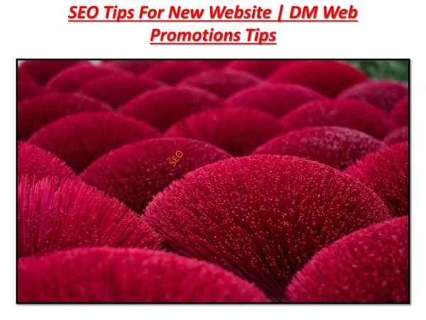 seo tips for new website dm web promotions tips