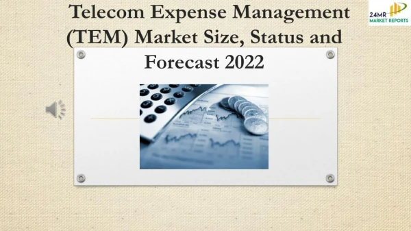 Telecom Expense Management (TEM) Market Size, Status and Forecast 2022