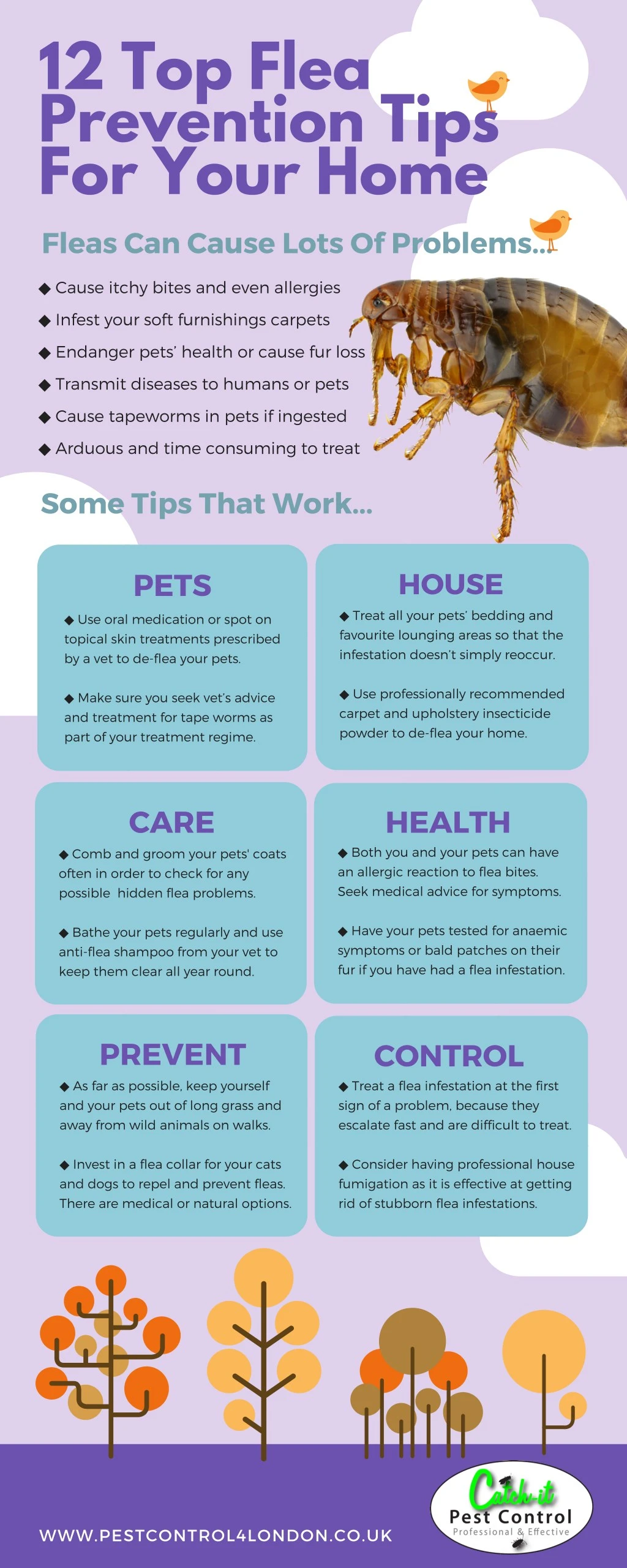 12 top flea prevention tips for your home