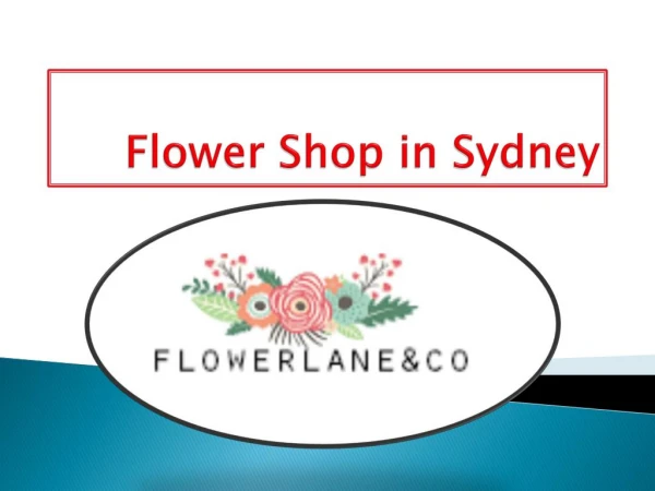 Affordable Wedding Flower Shop in Sydney - Flowerlane & Co