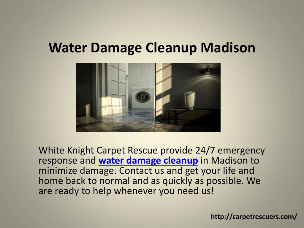 water damage cleanup madison