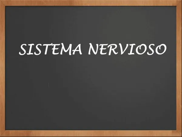 SISTEMA NERVIOSO PILAR BENGOA A.