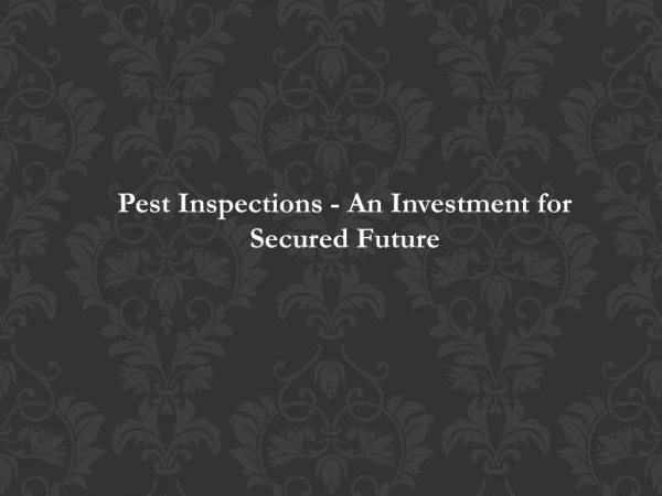 Pest Inspections - An Investment for Secured Future