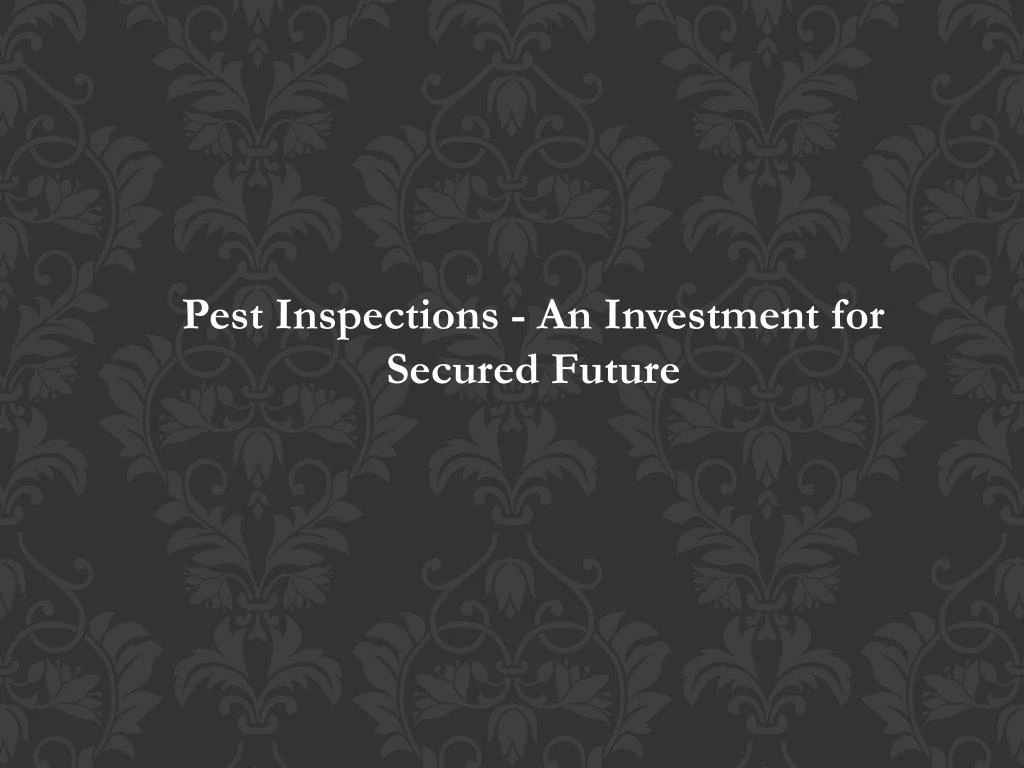 pest inspections an investment for secured future