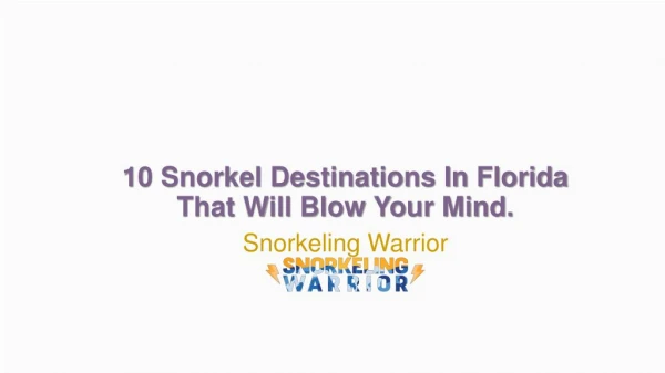 10 Snorkel Destinations In Florida That Will Blow Your Mind