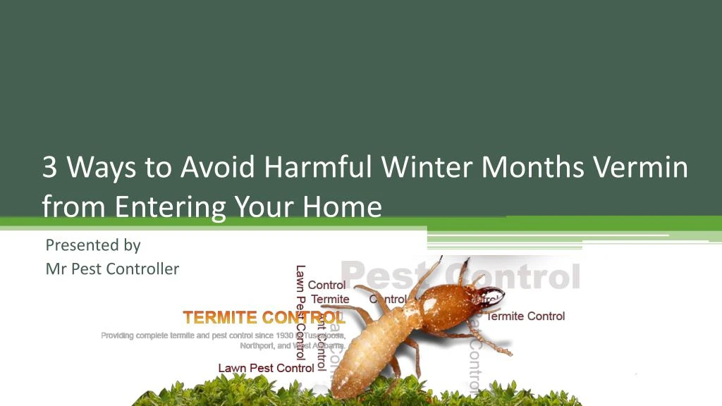 3 ways to avoid harmful winter months vermin from entering your home