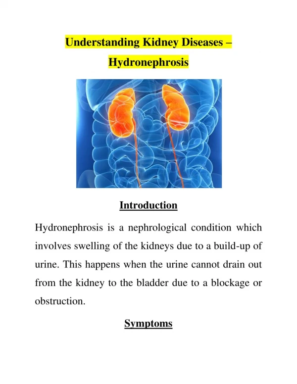 Understanding Kidney Diseases – Hydronephrosis