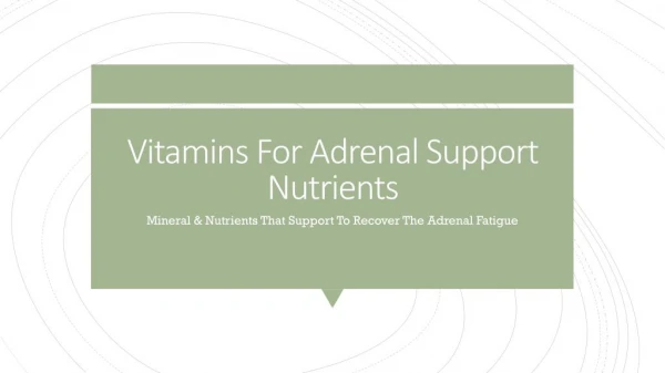 Vitamins For Adrenal Support | Premier Research Labs Supplements