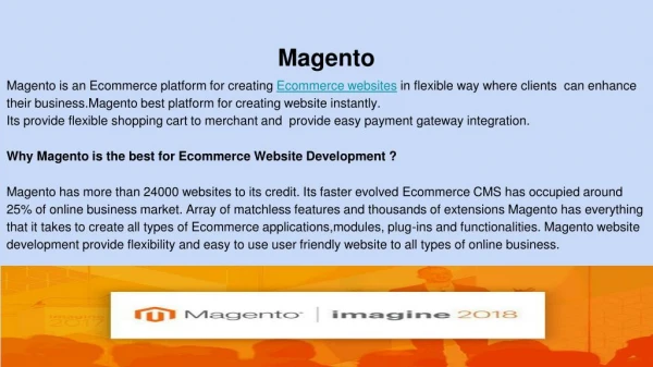 Magento website development