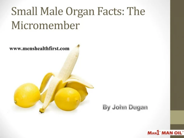 Small Male Organ Facts: The Micromember