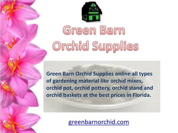 Orchid Mixes for Sale Online in Florida