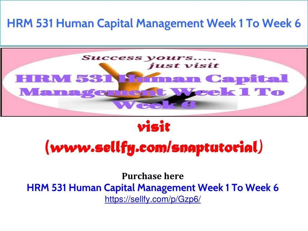 hrm 531 human capital management week 1 to week 6
