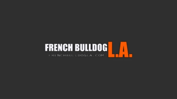 French Bulldog Breeders Los Angeles CA