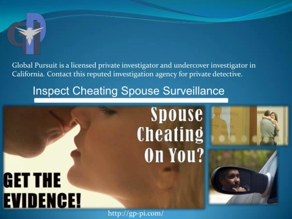 Inspection of Spouse Cheating Surveillance