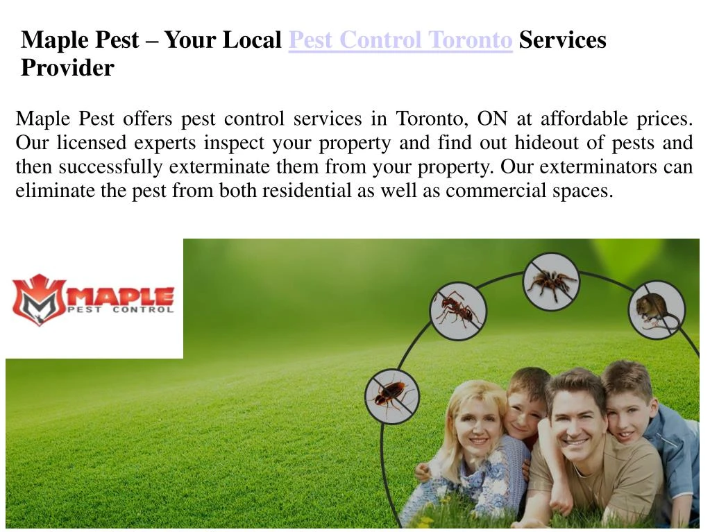 maple pest your local pest control toronto
