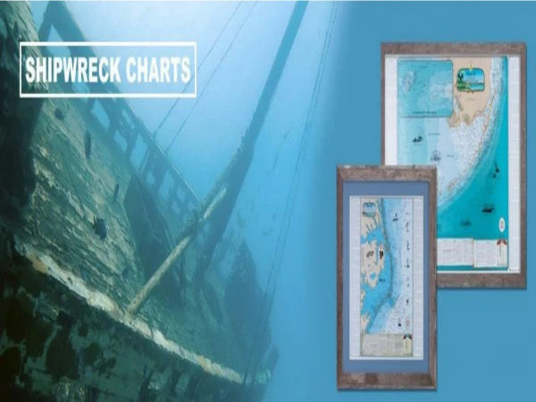 Fishing Charts and Maps, Shark Prints