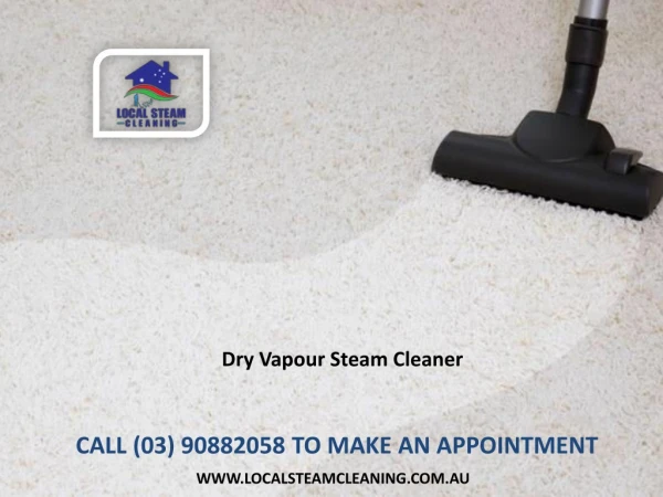 Dry Vapour Steam Cleaner