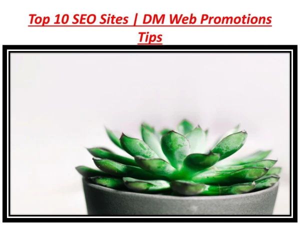 top 10 seo sites dm web promotions tips