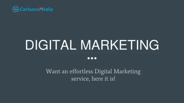 Digital marketing campaign