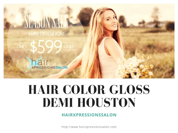 Hair Color Gloss demi Houston