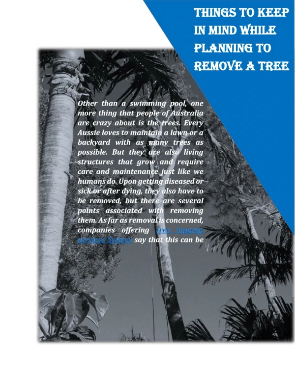 Things To Keep In Mind While Planning To Remove A Tree