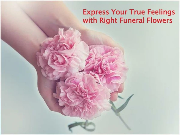 Express Your True Feelings with Right Funeral Flowers