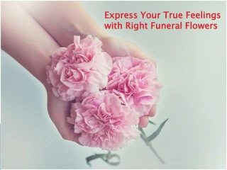 PPT - Choosing The Right Funeral Flowers Pittsburgh PowerPoint ...