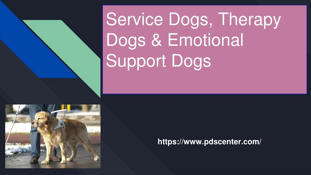 service dogs therapy dogs emotional support dogs