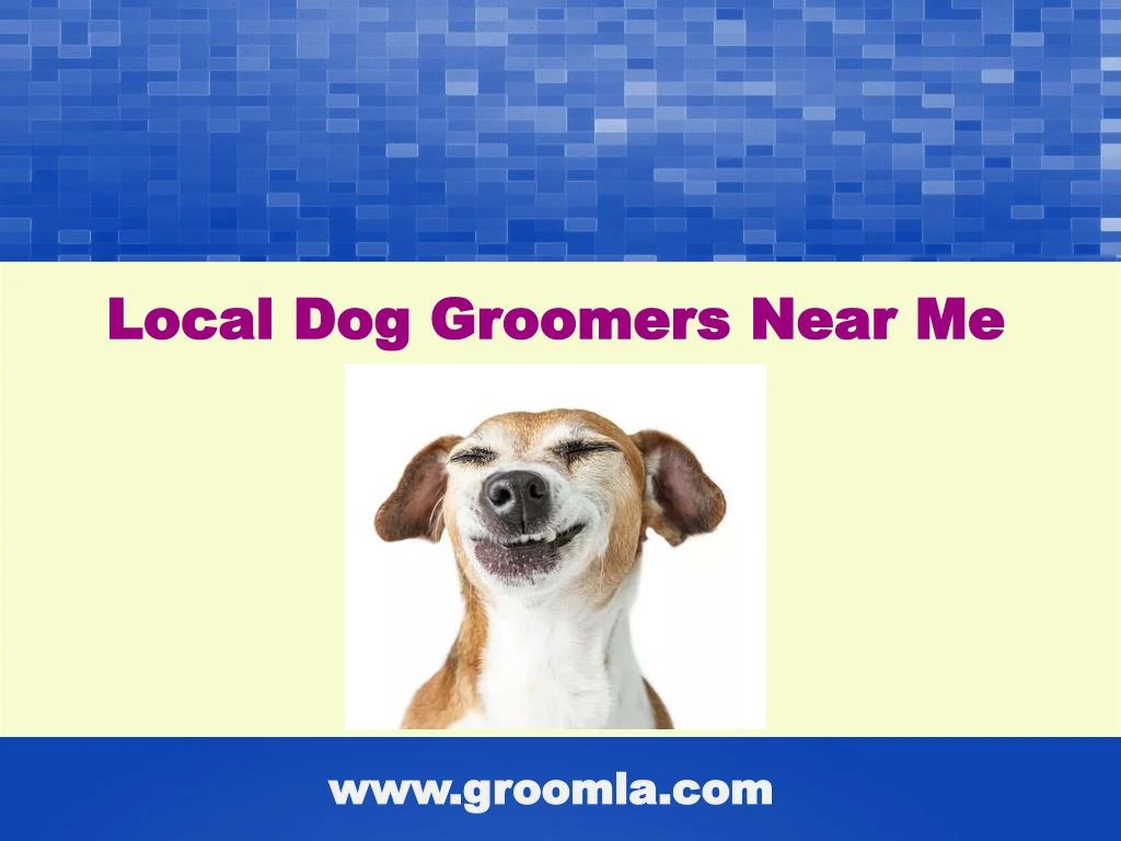 local dog groomers near me