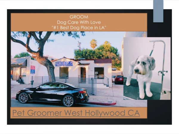 Dog Groomers West Hollywood CA
