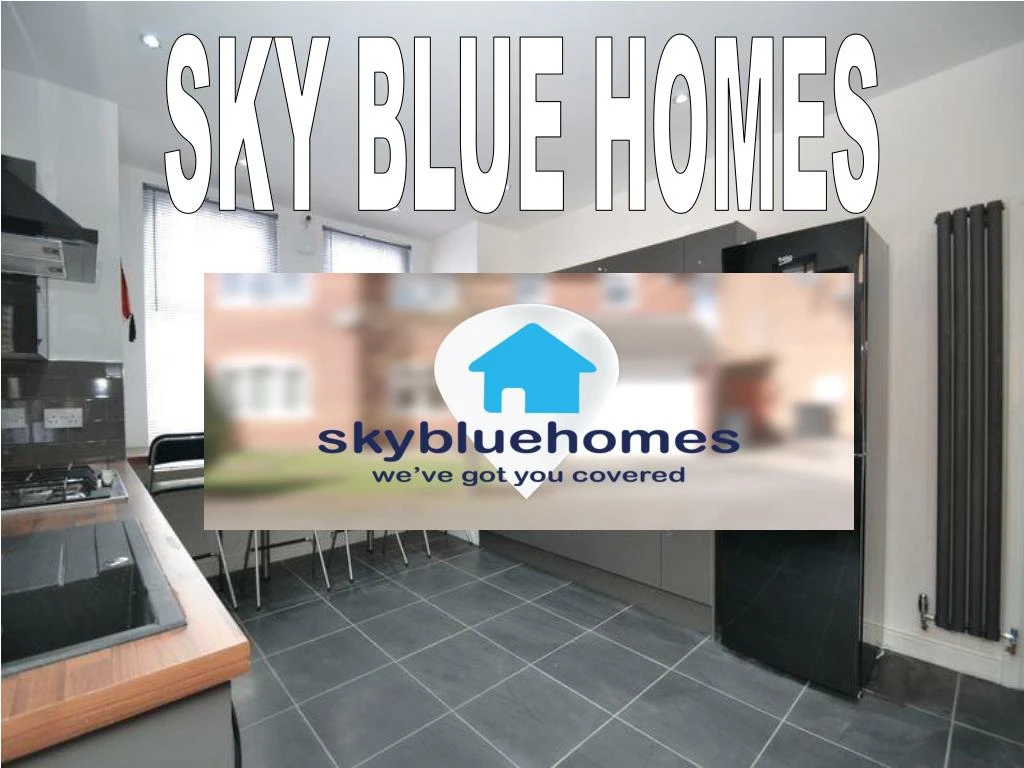 sky blue homes