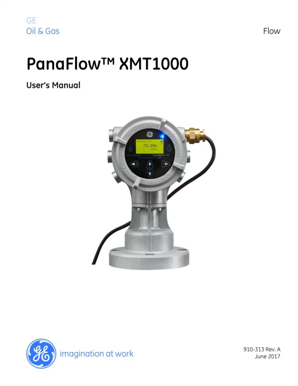 GE Mesurement PanaFlow XMT1000 Ultrasonic Liquid Flow Transmitter | Instronline