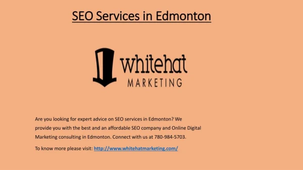 SEO Services in Edmonton